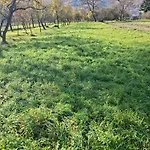Gazdovsky Dvor Holiday home Muranska Dlha Luka